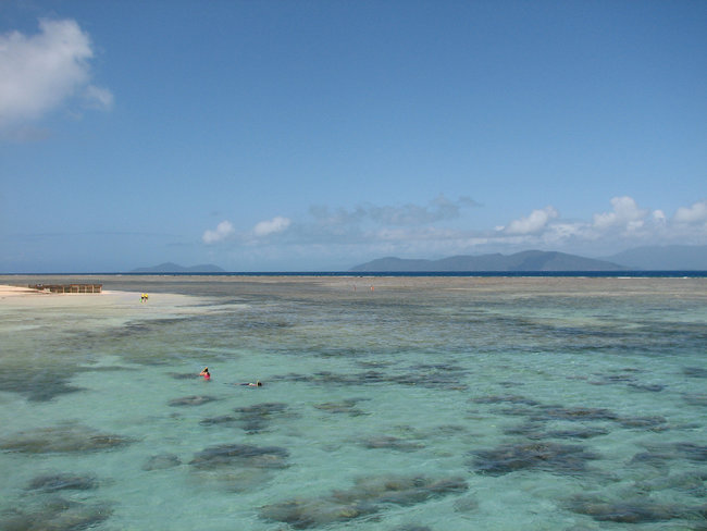 green island view from crystal waters Australia