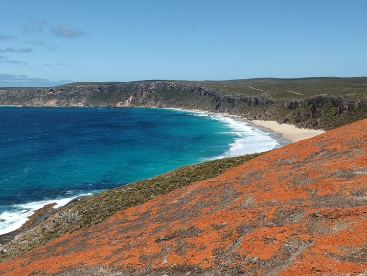 view of kangaroo island beach, australia