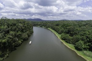 Skyrail cable car river view Cairns