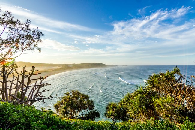 View from tress Fraser Island South beach Australia