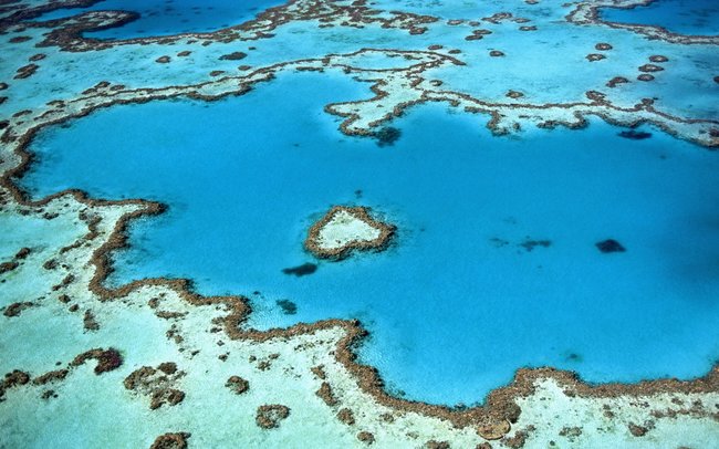 blue great barrier reef aeriel view