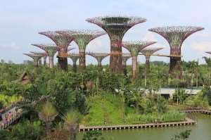 Gardens by the Bay Singapore Asian city stopover Australia and New Zealand tours Distant Journeys