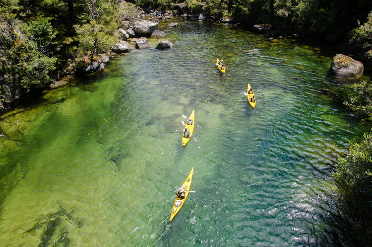 abel tasman national park