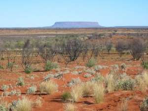 Queensland outback where the fossils were found, can be seen on our holidays to Australia