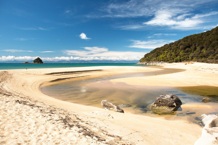 Golden sands on Abel Tasman National Park beach