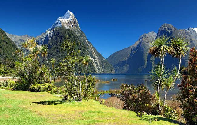 Milford sound view New Zealand