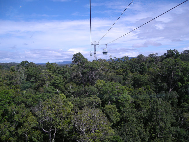 cablecar above rainforest skyrail Kuranda Australia