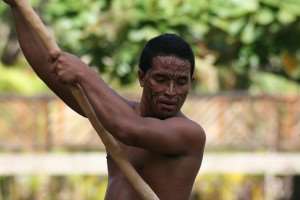 Maori Rower