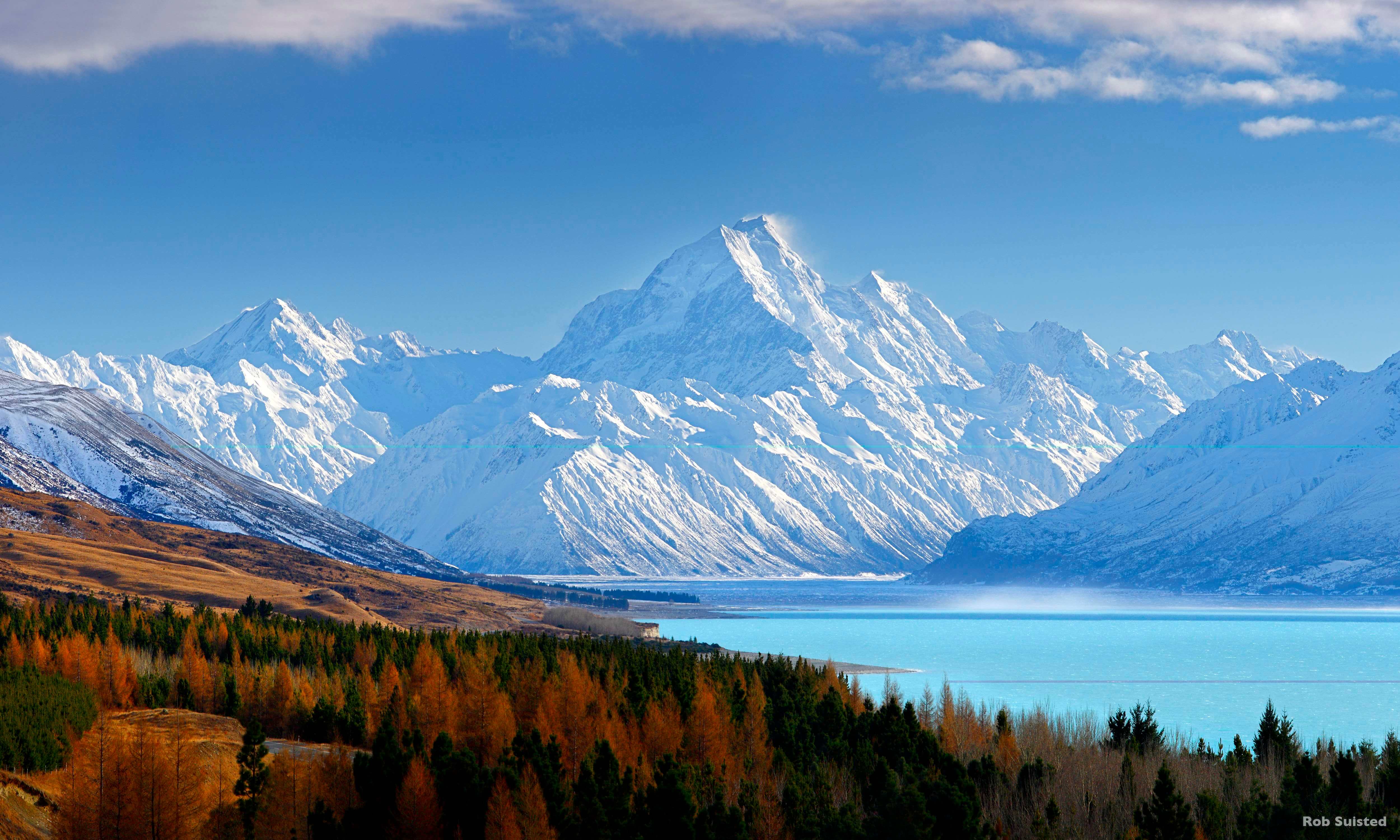 holiday tours of new zealand