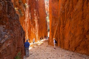 Australia inside MacDonnell Ranges Standley Chasm Alice Springs