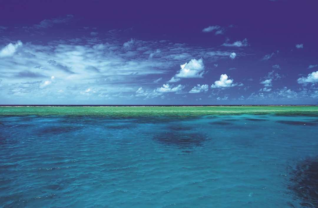 Cairns Great Barrier Reef