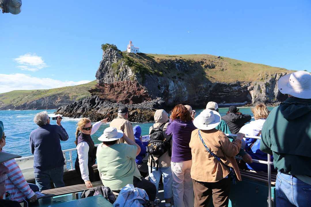 Dunedin Otago Peninsula Wildlife tour3