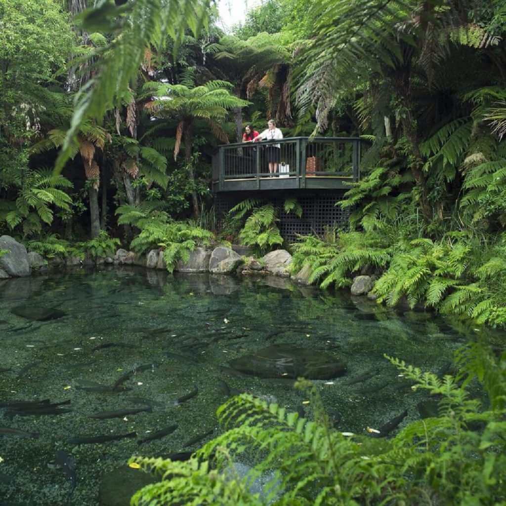 Australia New Zealand Tours From Uk Australia New Zealand Tours From Uk