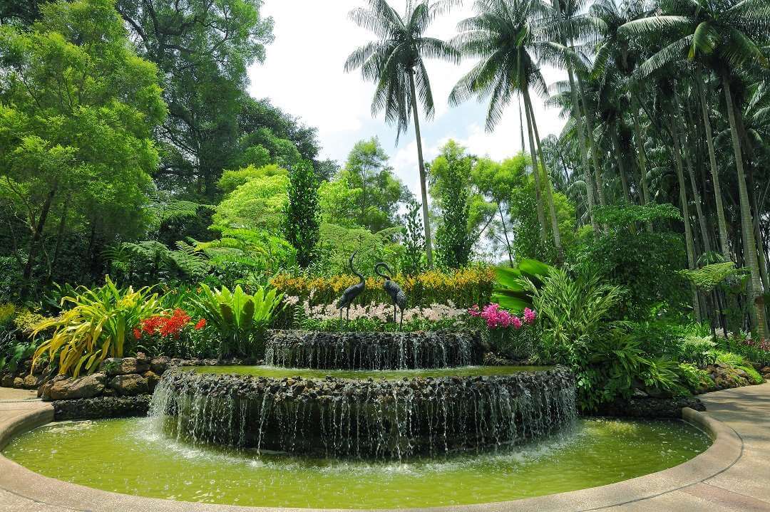 Singapore botanic garden