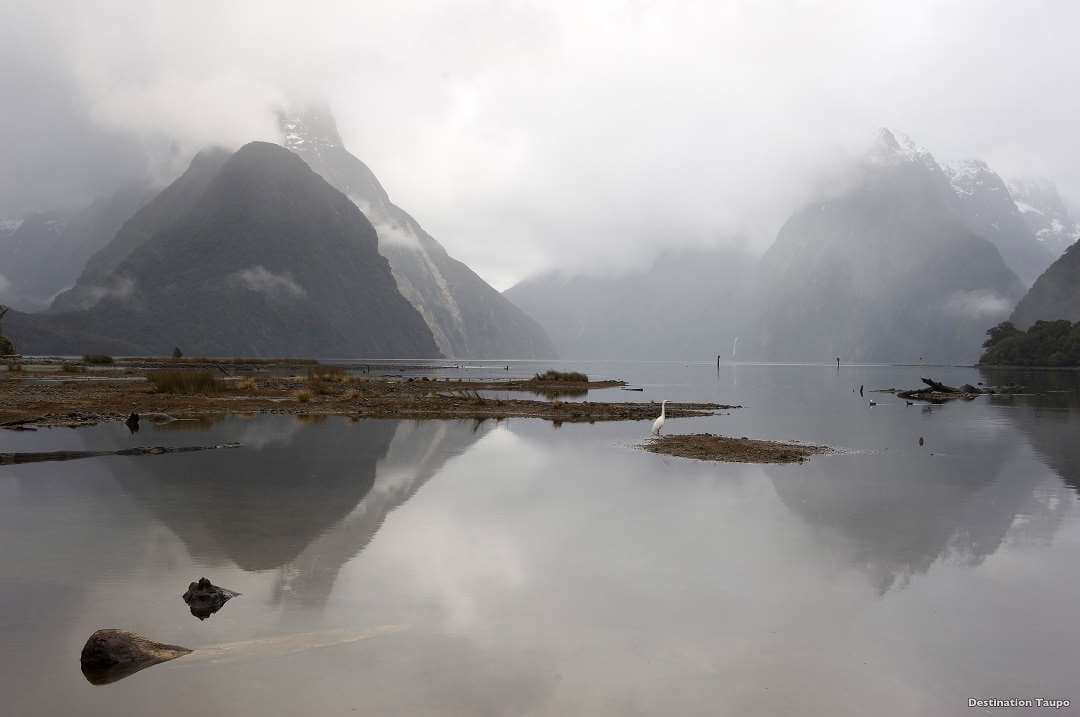 Queenstown Milford mist