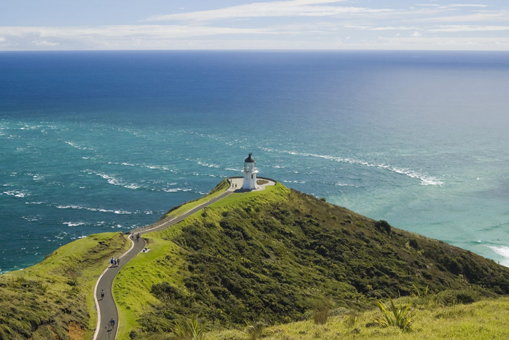 tour cape reinga