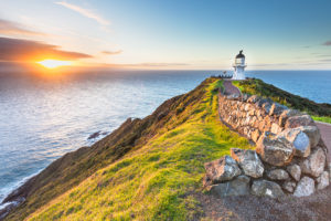 bay-of-islands-cape-reinga-day-excursion