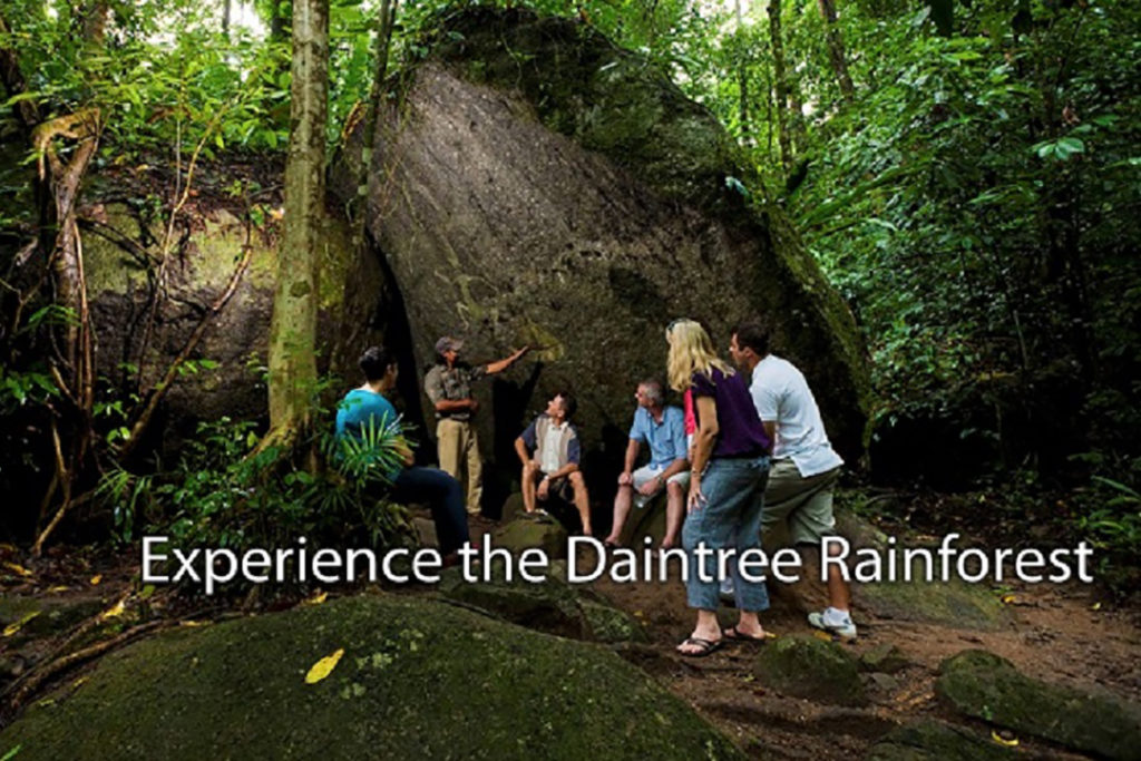 daintree-national-park-tour