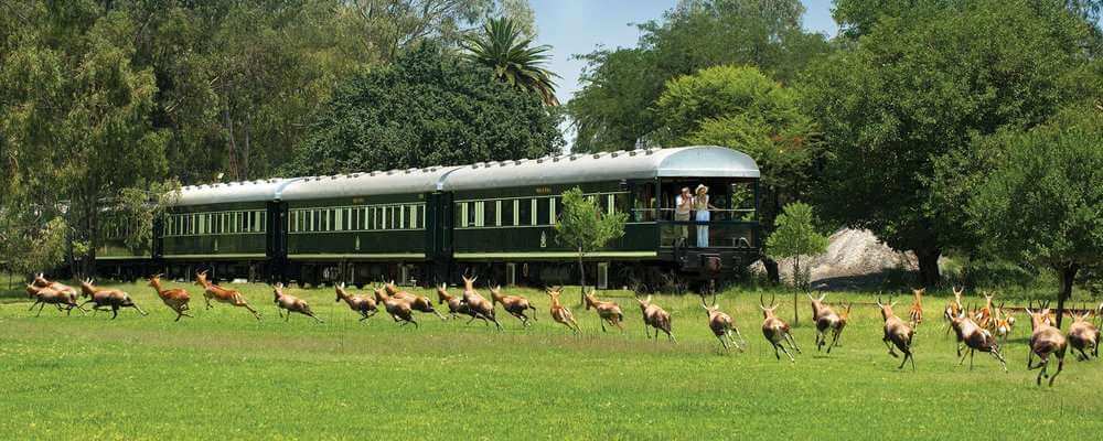 rovos rail south africa