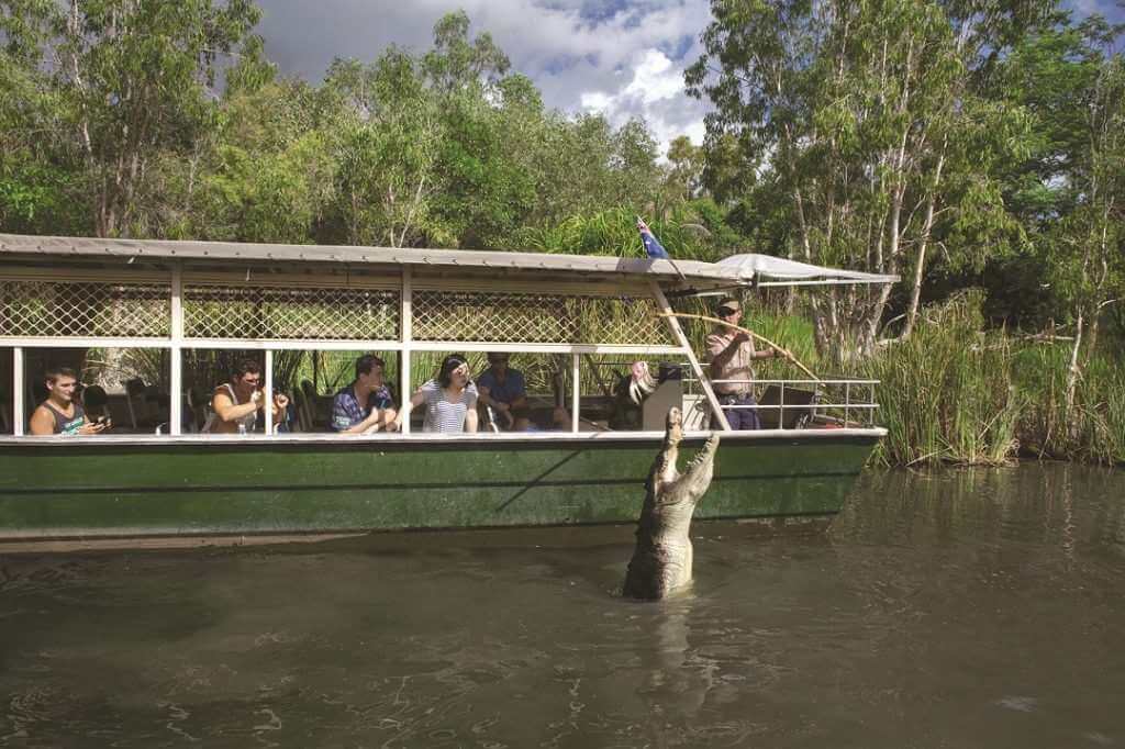 HCA Boat Pole Feeding a Crocodile