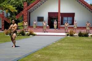 te puia rotorua new zealand