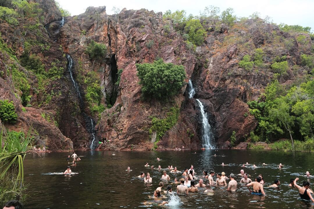 Kakadu 2