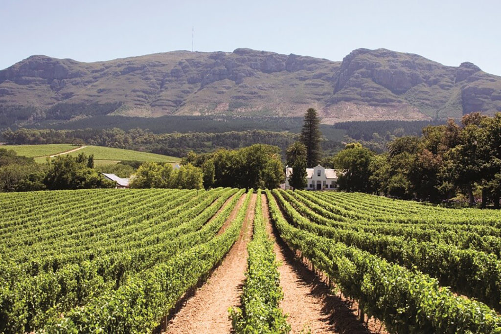 Winelands-south-africa