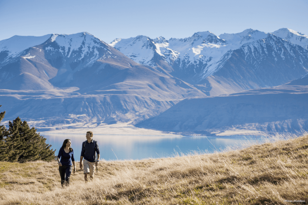 reasons to visit new zealand