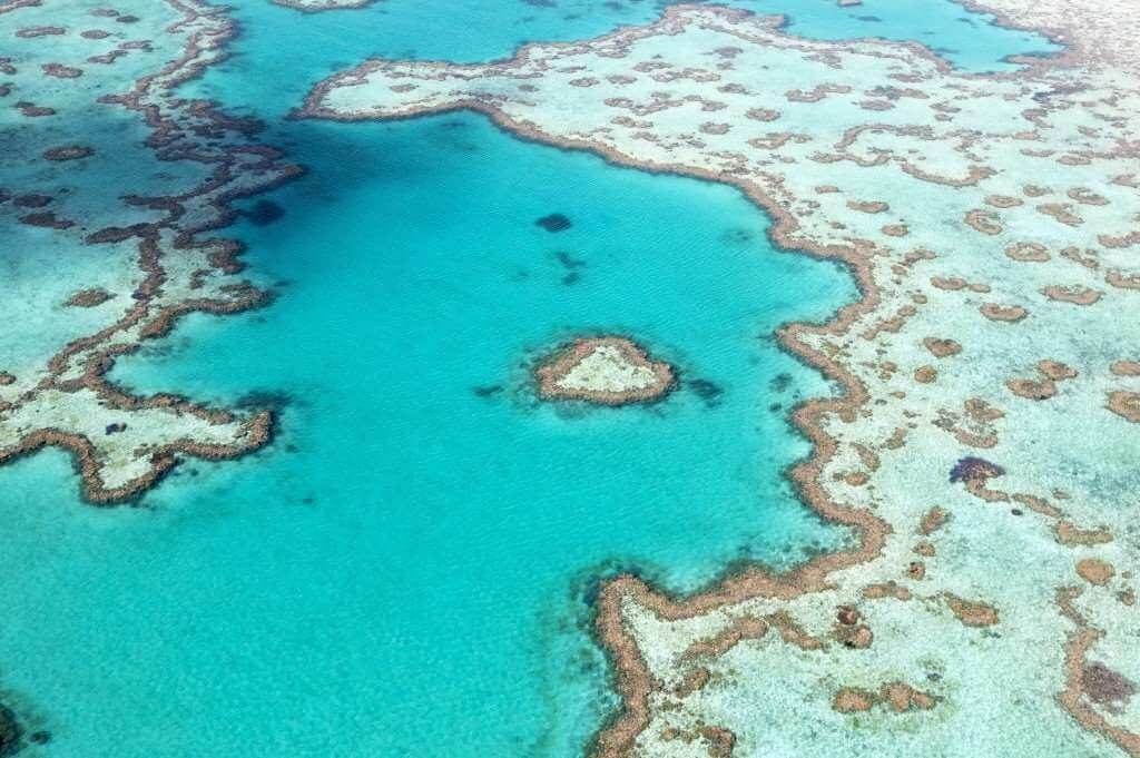 birds eye view great barrier reef australia