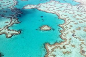 birds eye view great barrier reef australia