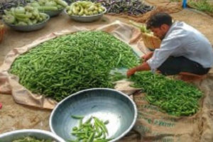 Organic-farm-Jaipur