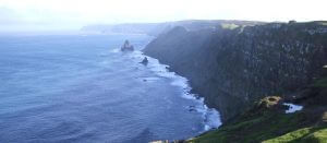 Chatham Islands, New Zealand