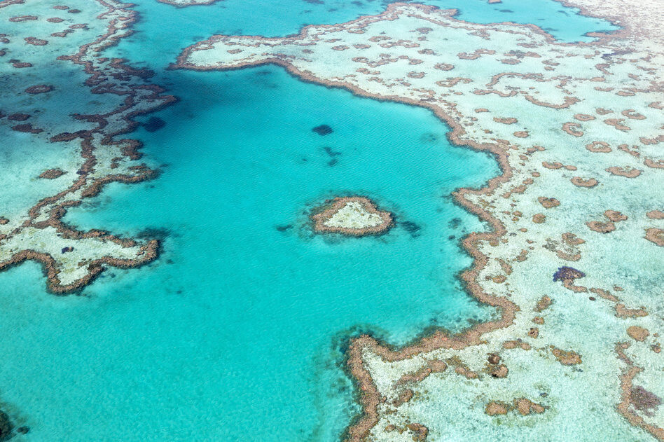 australia great barrier reef