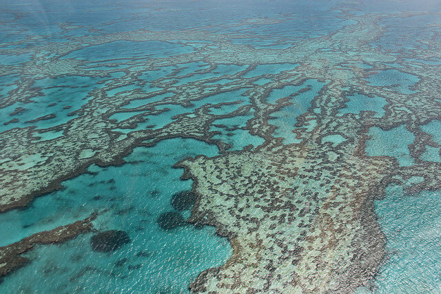 great barrier reef in australia