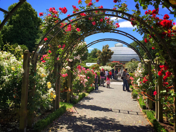 Christchurch Botanic Gardens - New Zealand