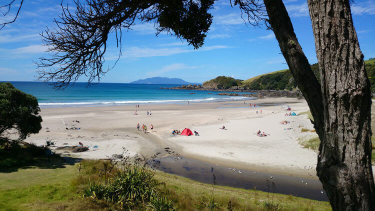 beach in new zealand