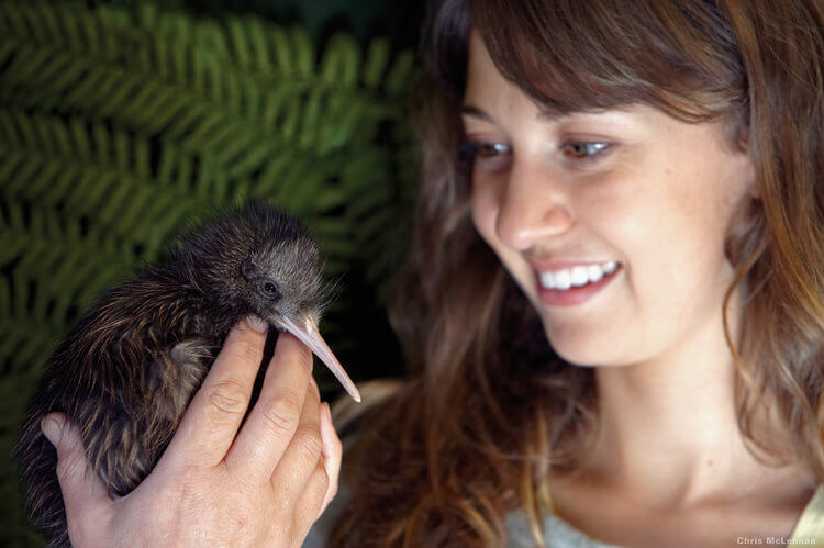 kiwi birth new zealand
