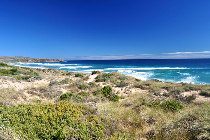 Phillip Island new zealand