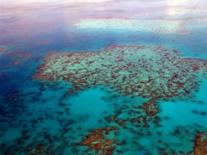 Great barrier reef aerial view