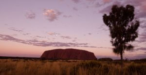 Uluru viewing area at sunrise
