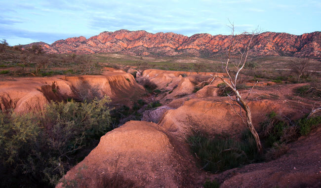 Flinders ranges Australia on road to pugilist hill