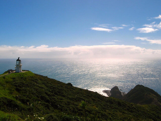 coastal view Cape Regina New Zealand