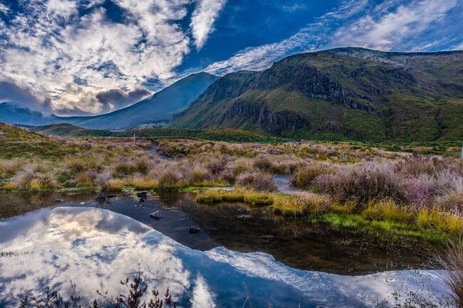 Tongariro national park landscape with mount doom new zealand