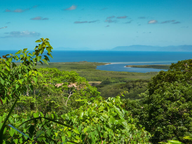 coastal view from tree tops daintree rainforest Australia