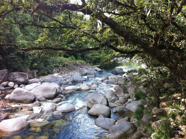 rocks in river daintree rainforest australia