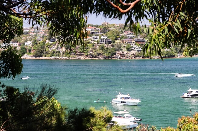 the spit t manly walk water and trees Sydney Australia