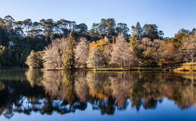 lake mclaren view with autumnal trees reflection