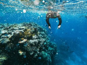 scuba diver underwater great barrier reef