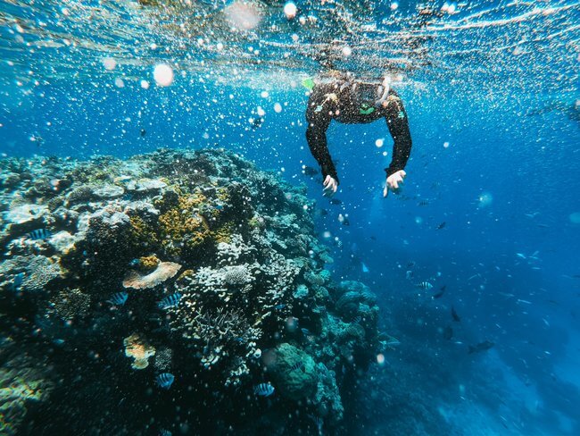 scuba diver underwater great barrier reef