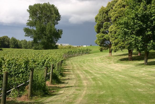 villa maria winery new zealand